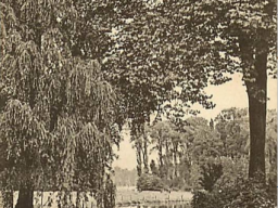 99 annappes - le parc - les eaux